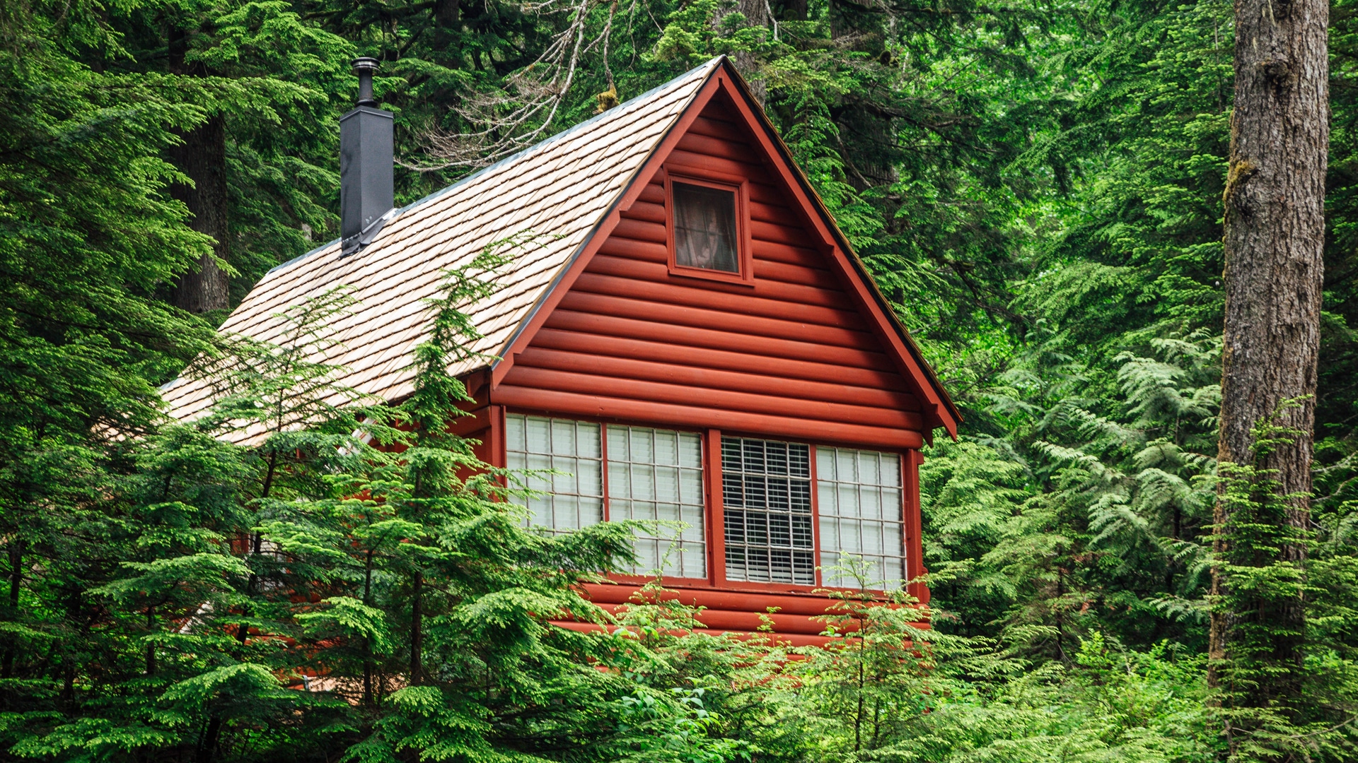 Lodge in the Woods